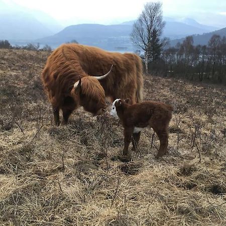Appartamento Carnach Fort William Esterno foto