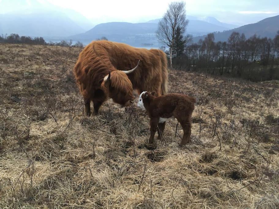Appartamento Carnach Fort William Esterno foto